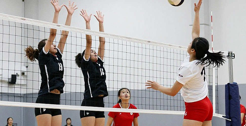 Brazil vô địch Nam Mỹ lần thứ 24: ba tay đập cùng vượt 10 điểm và một tấm vé Olympic cần được xác minh