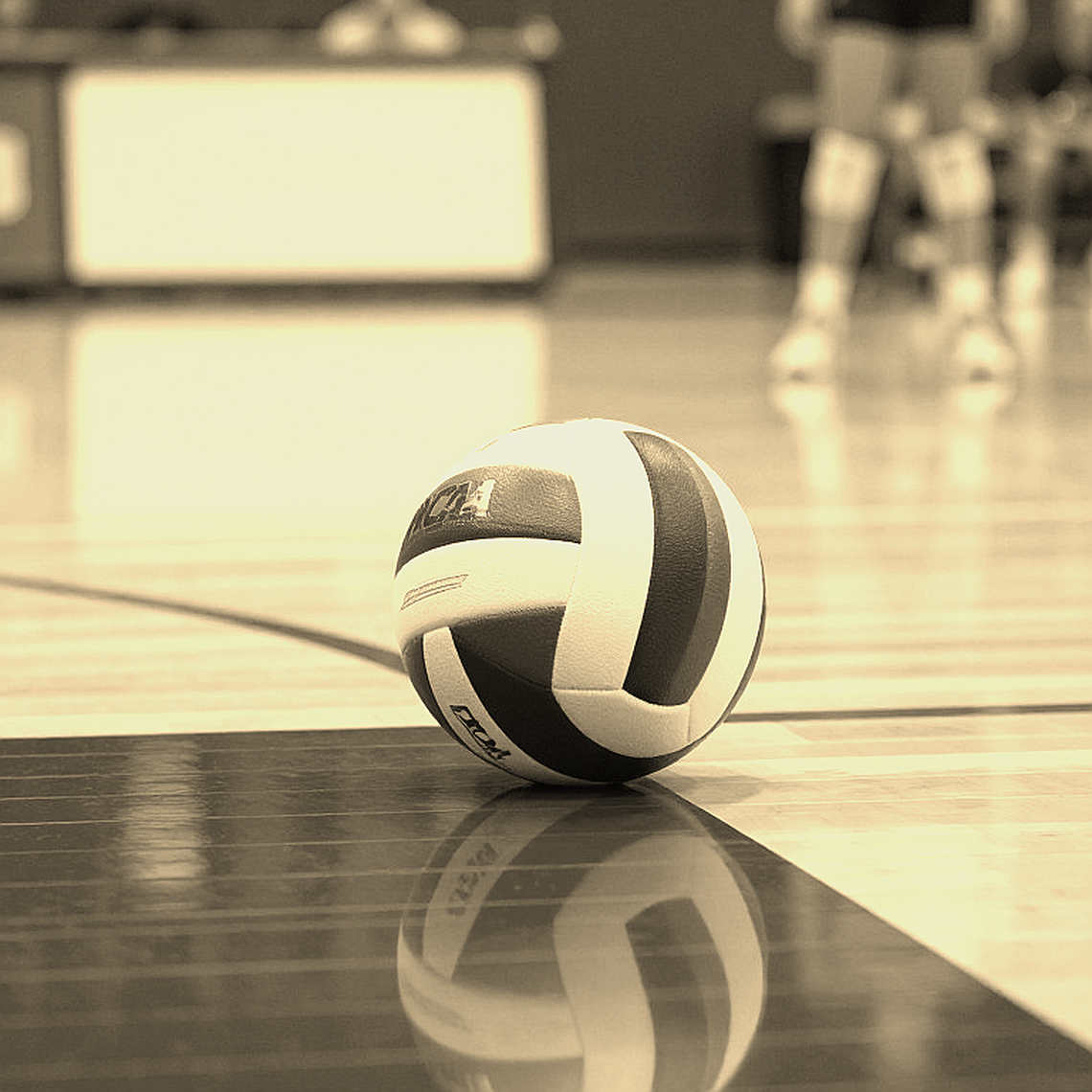 Ai Cập viết lịch sử bóng chuyền nữ châu Phi tại CAVB 2026: Tấm vé Olympic đầu tiên và bài học từ những con số khiêm nhường Ai Cập viết lịch sử bóng chuyền nữ châu Phi tại CAVB 2026: Tấm vé Olympic đầu tiên và bài học từ những con số khiêm nhường