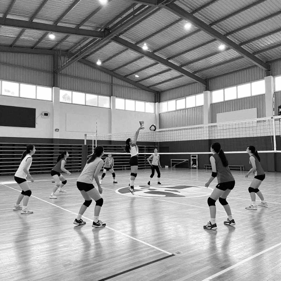 Sasipaporn và bài toán hệ thống: Khi một tay đập 115 điểm bị đọc sai bằng ba con số